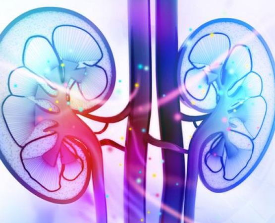 Başarılı Tedavi 1