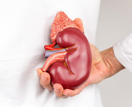 Başarılı Tedavi 2