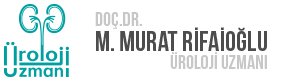 Doç.Dr. M. Murat RİFAİOĞLU
